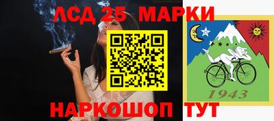 прущие крисы Новодвинск
