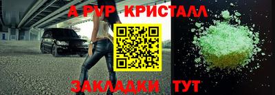 скорость Новозыбков