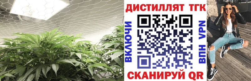 MEGA ссылка  Евпатория  ТГК жижа 