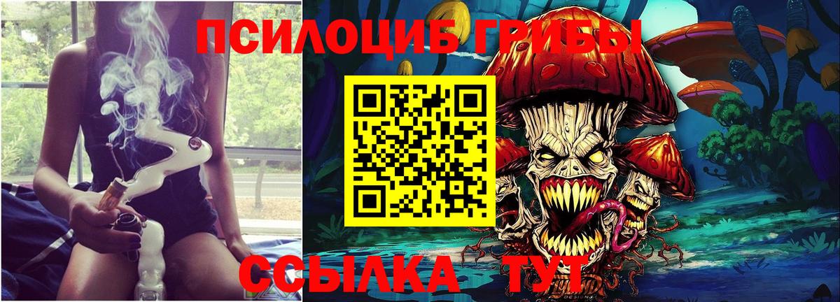Псилоцибиновые грибы прущие грибы Евпатория