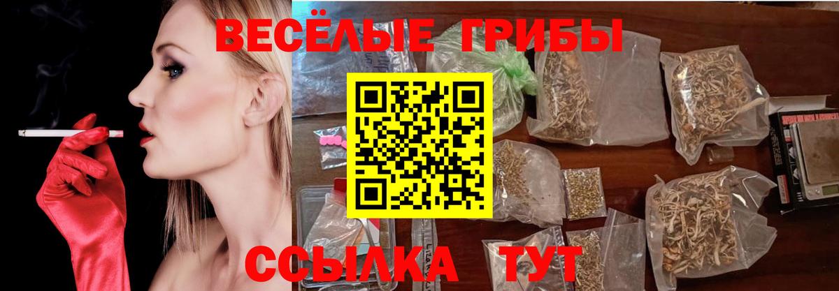 Галлюциногенные грибы MAGIC MUSHROOMS  Галлюциногенные грибы прущие грибы  Евпатория  Вход с VPN 